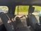 2015 Ford Expedition XLT