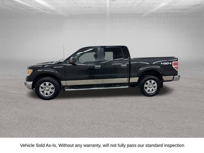 2010 Ford F-150 XLT