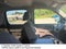 2008 Chevrolet Silverado 1500 LT LT1